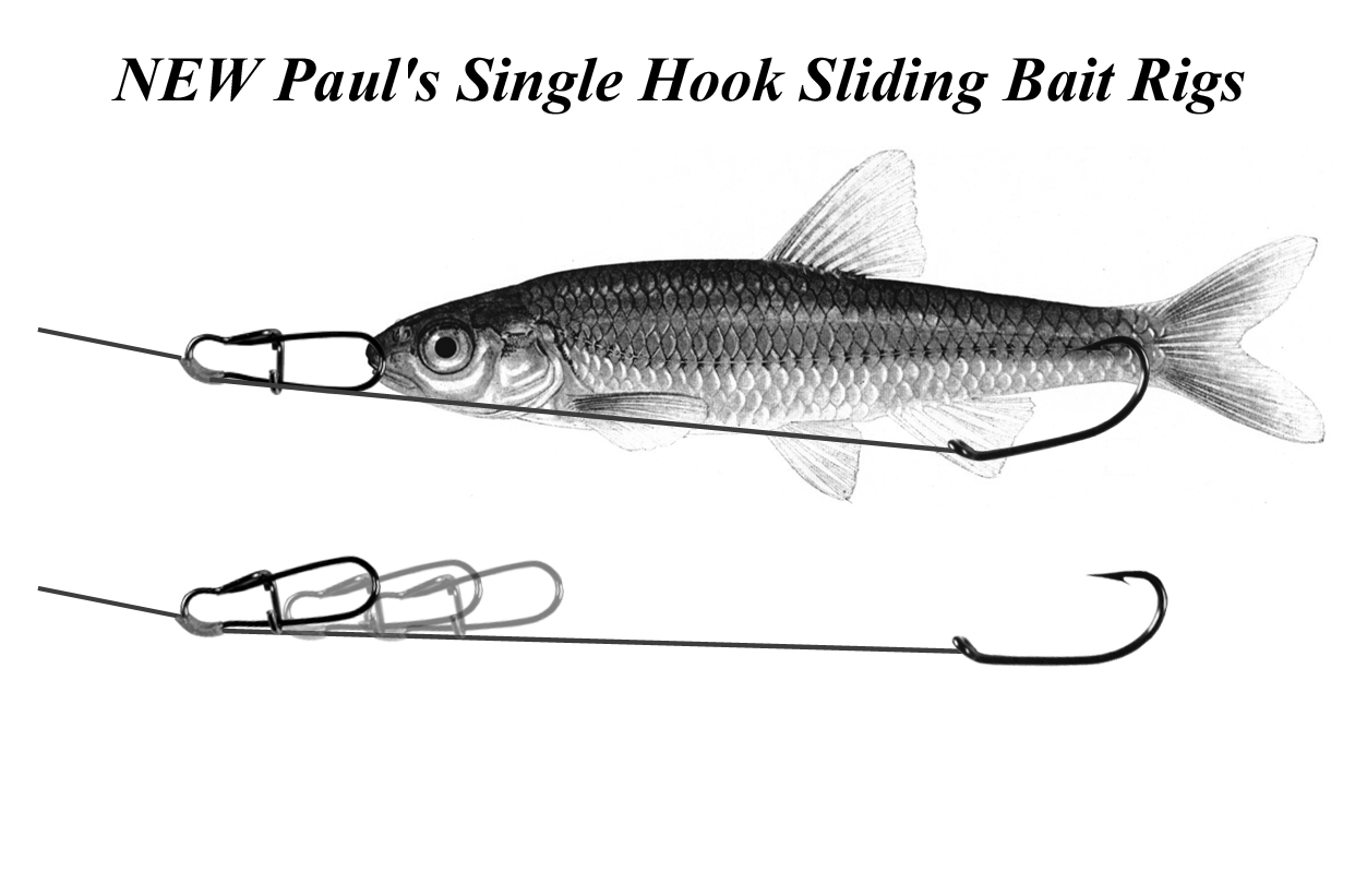 Paul's Bait Rigs & Tackle-Bait Rigs